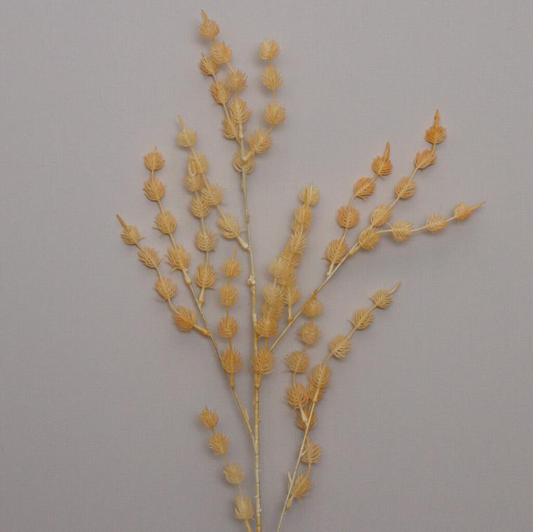 Загружен программно: img_9230.jpg