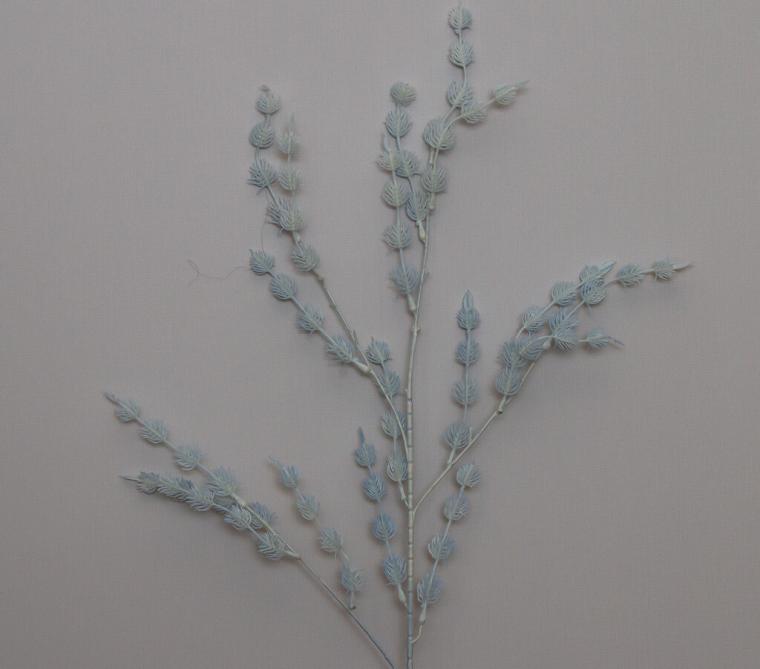 Загружен программно: img_9238.jpg