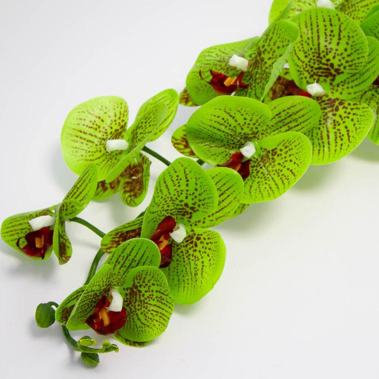 Загружен программно: img_9312.jpg