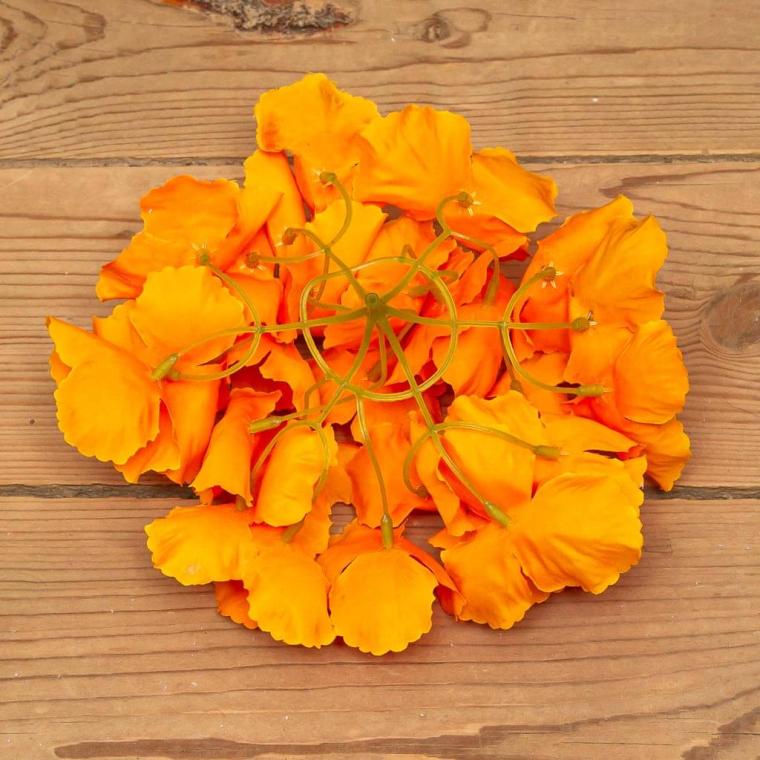 Загружен программно: img_9501.jpg