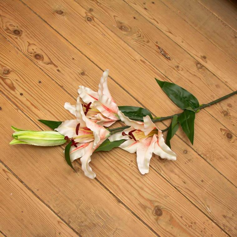 Загружен программно: img_9530.jpg