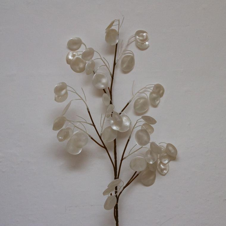 Загружен программно: img_9593.jpg