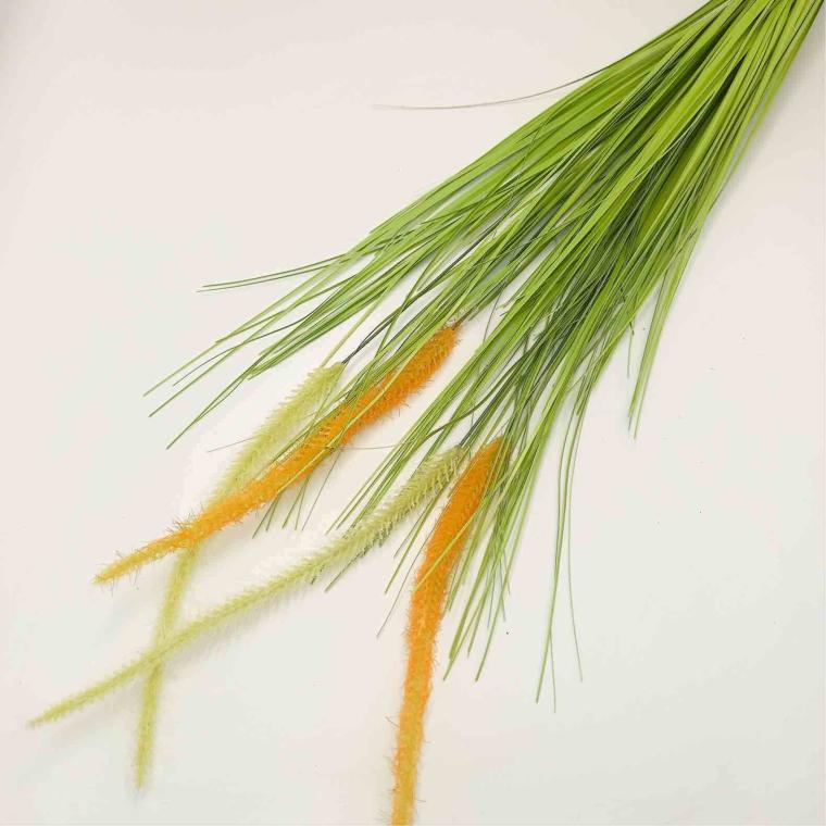 Загружен программно: imgcompressed_8257.jpeg