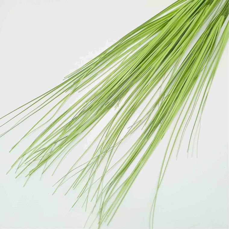 Загружен программно: imgcompressed_8504.jpeg