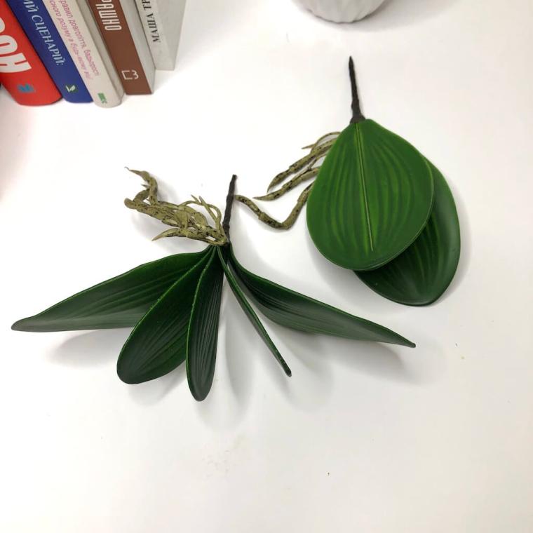 Загружен программно: 1692821576277422.jpg