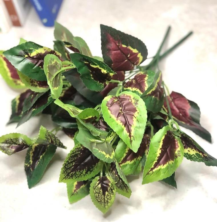 Загружен программно: 1694374905508527.jpg