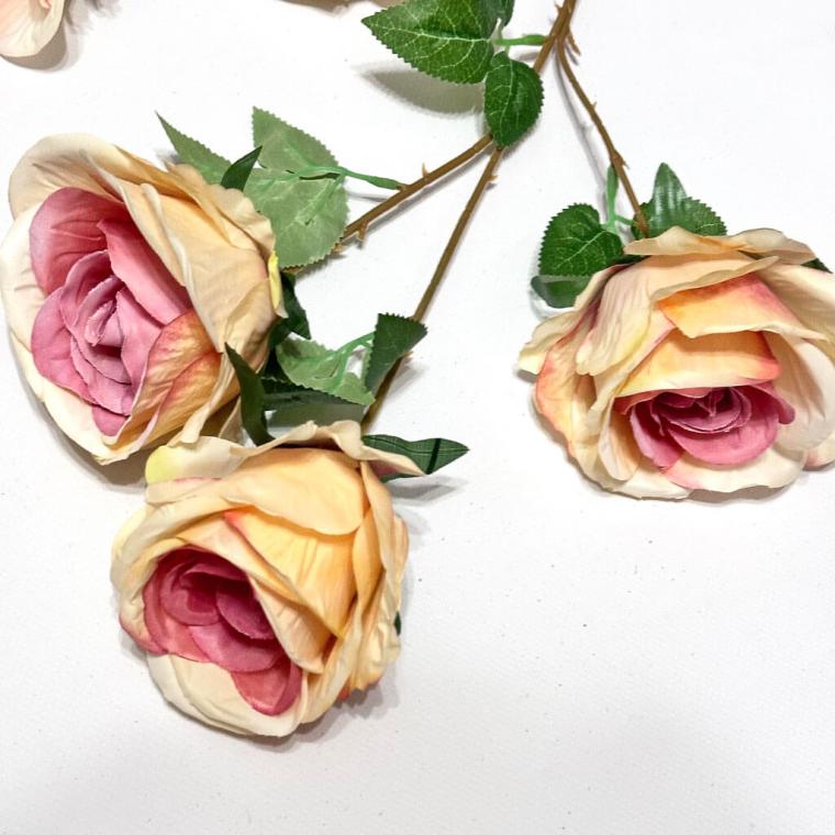 Загружен программно: 1705307410885862.jpg