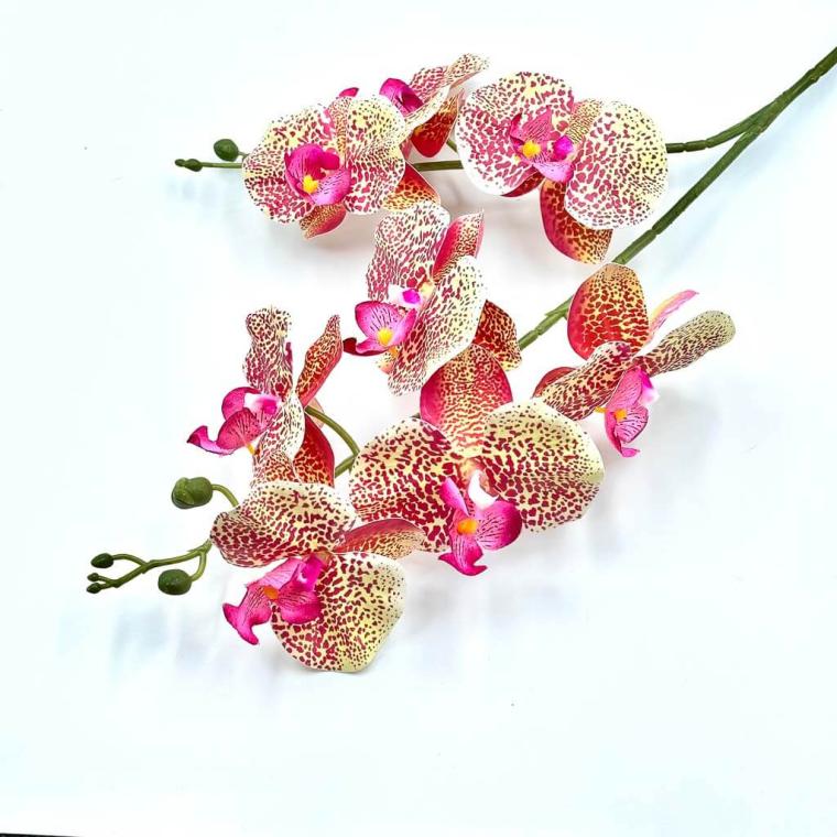 Загружен программно: 1709838009135722.jpg