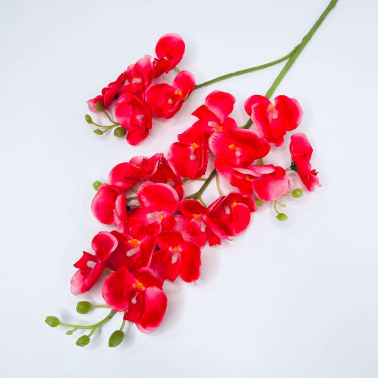 Загружен программно: 1711970040331509.jpg