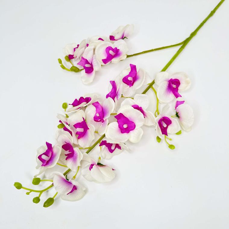 Загружен программно: 1711970395380477.jpg