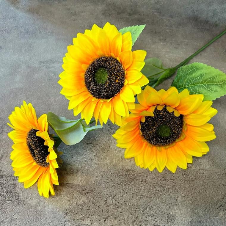 Загружен программно: 1712918102672889_0.jpg