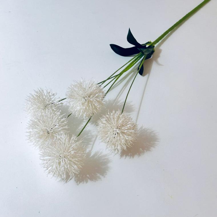 Загружен программно: 1719338461413127.jpg