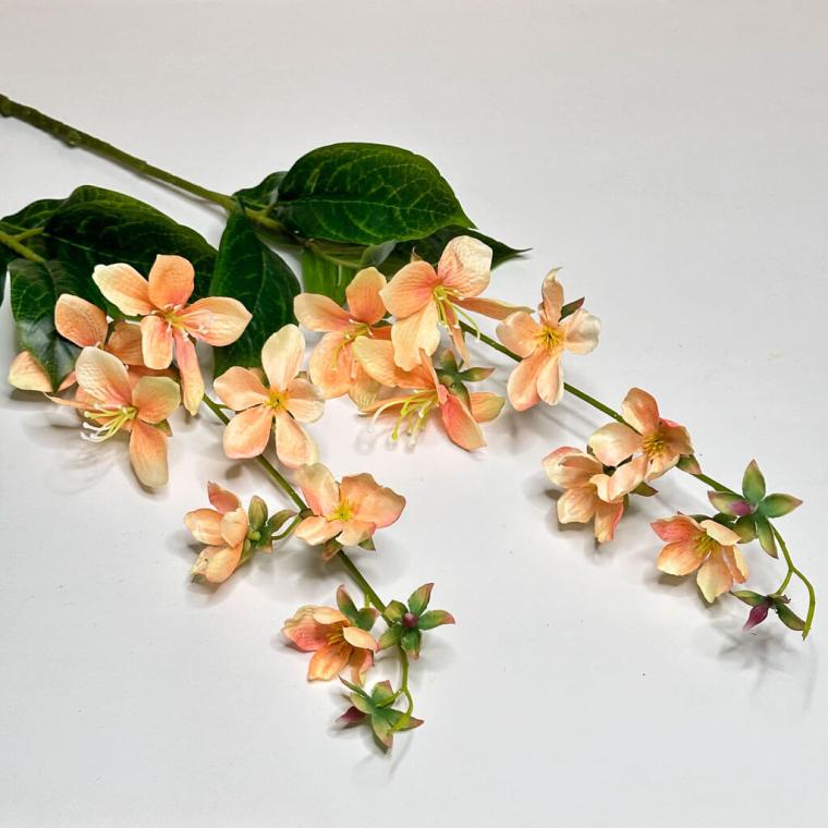 Загружен программно: 1719508427971279.jpg