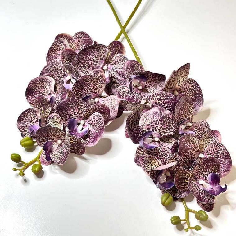 Загружен программно: 1719510409152776.jpg