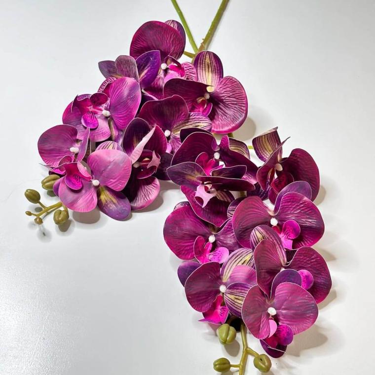 Загружен программно: 1719510411671103.jpg