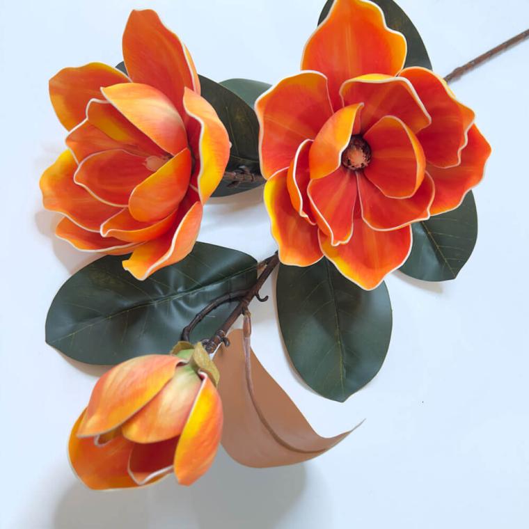 Загружен программно: 1739115878755238.jpg