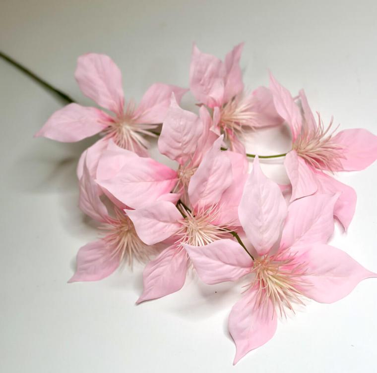 Загружен программно: 1747682184455635.jpg