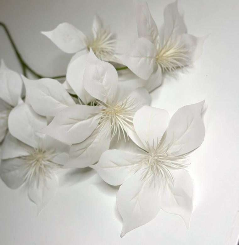 Загружен программно: 1747682186343646.jpg