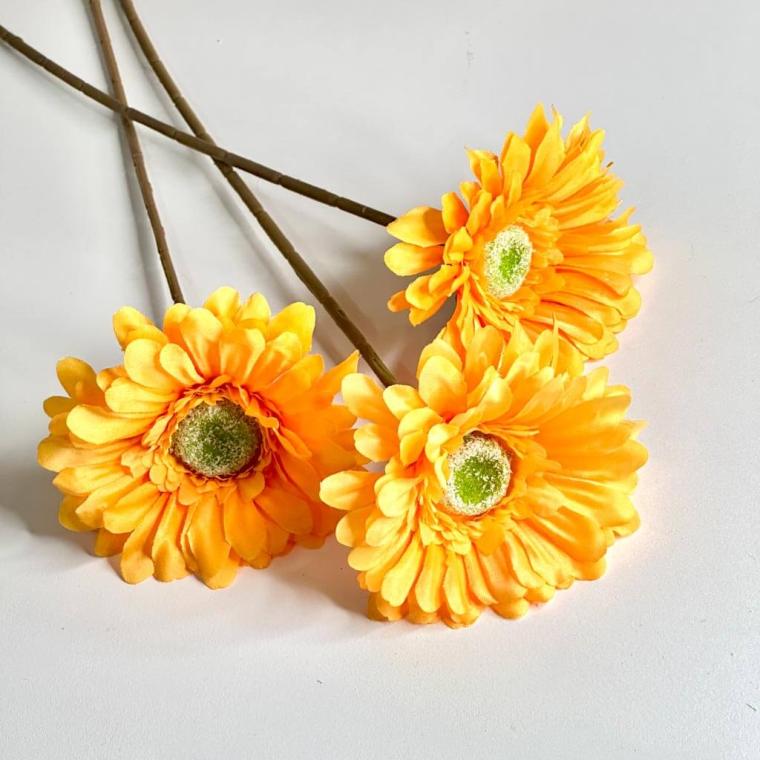 Загружен программно: 174790150455081.jpg