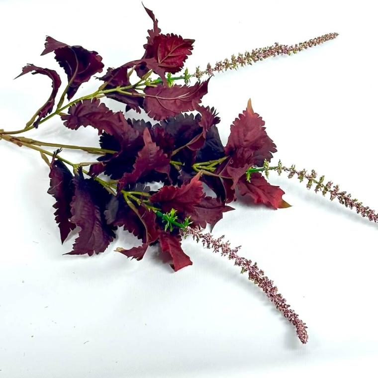 Загружен программно: 1750604635325947.jpg