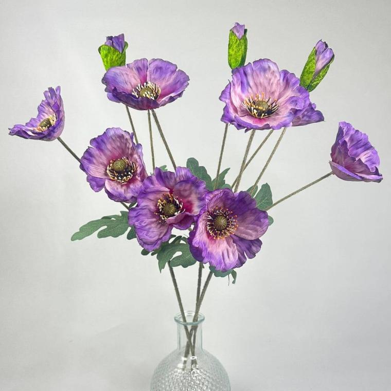 Загружен программно: 175372328467604.jpg