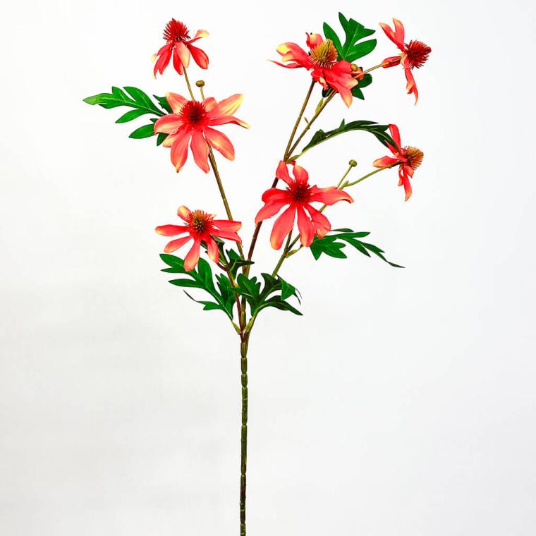 Загружен программно: 1753729491899866.jpg