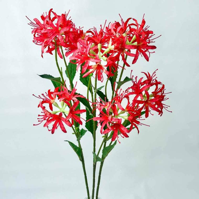 Загружен программно: 1753789318802345.jpg