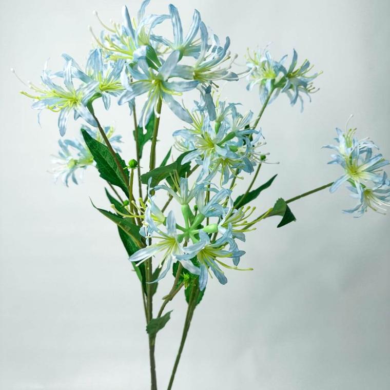 Загружен программно: 1753789324179540.jpg