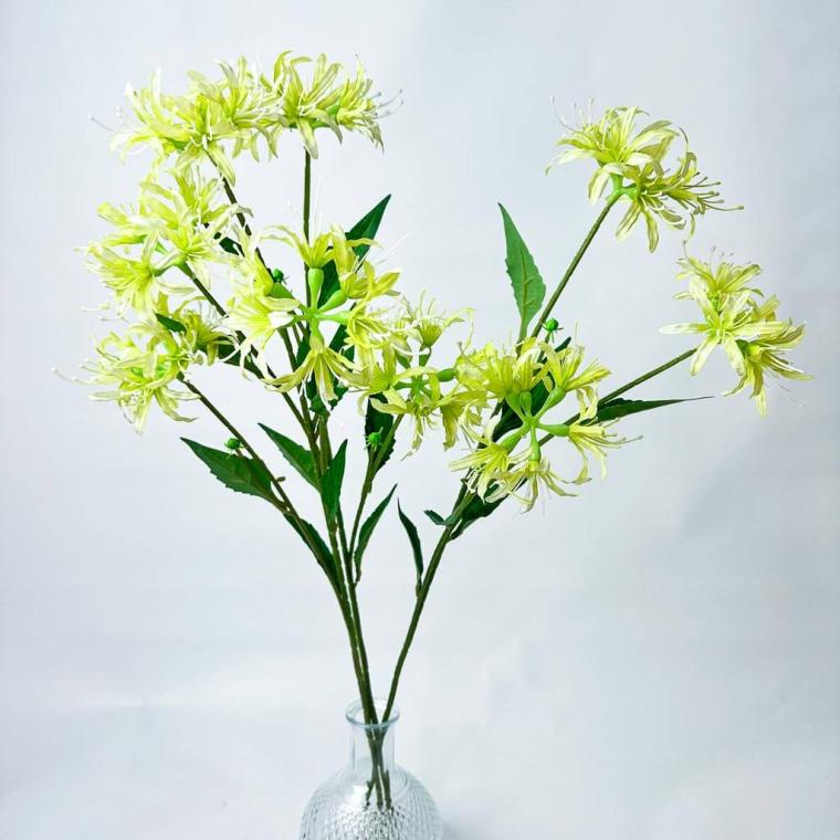 Загружен программно: 175378932785804.jpg