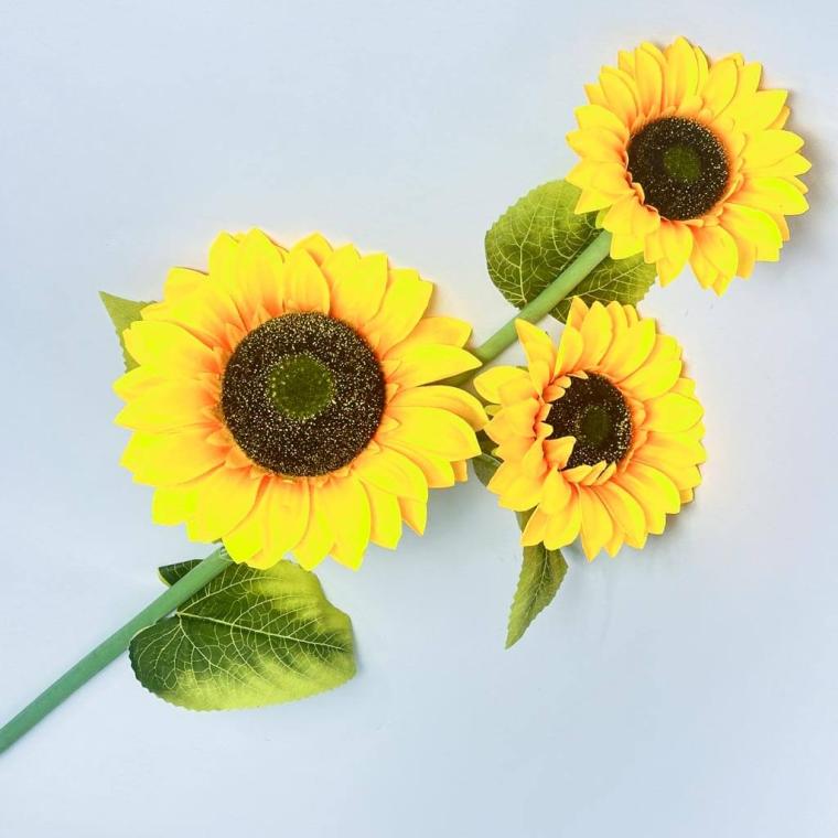 Загружен программно: 1753809068967038.jpg