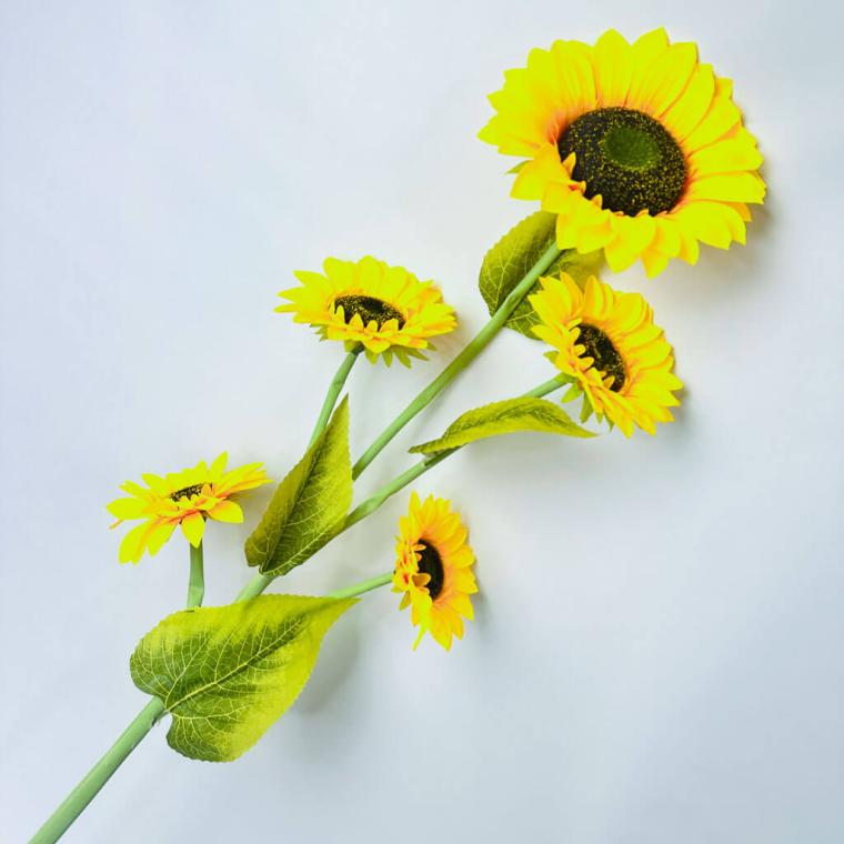 Загружен программно: 1753809169431334.jpg