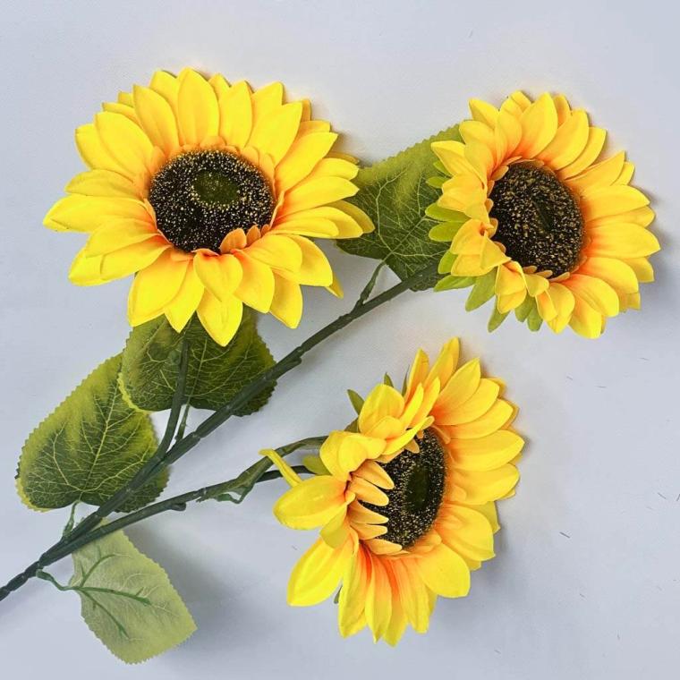 Загружен программно: 1753809284312546.jpg