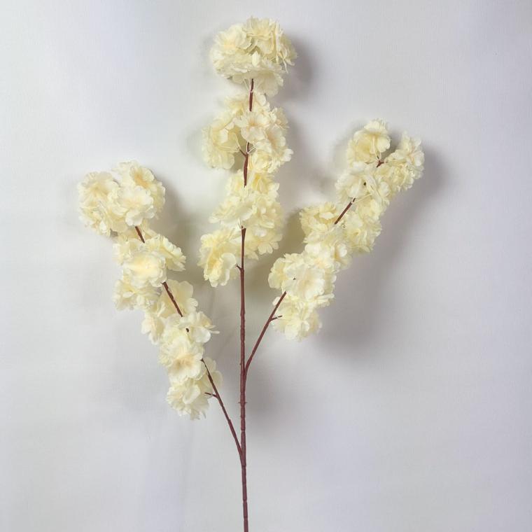 Загружен программно: 1753958269945034.jpg