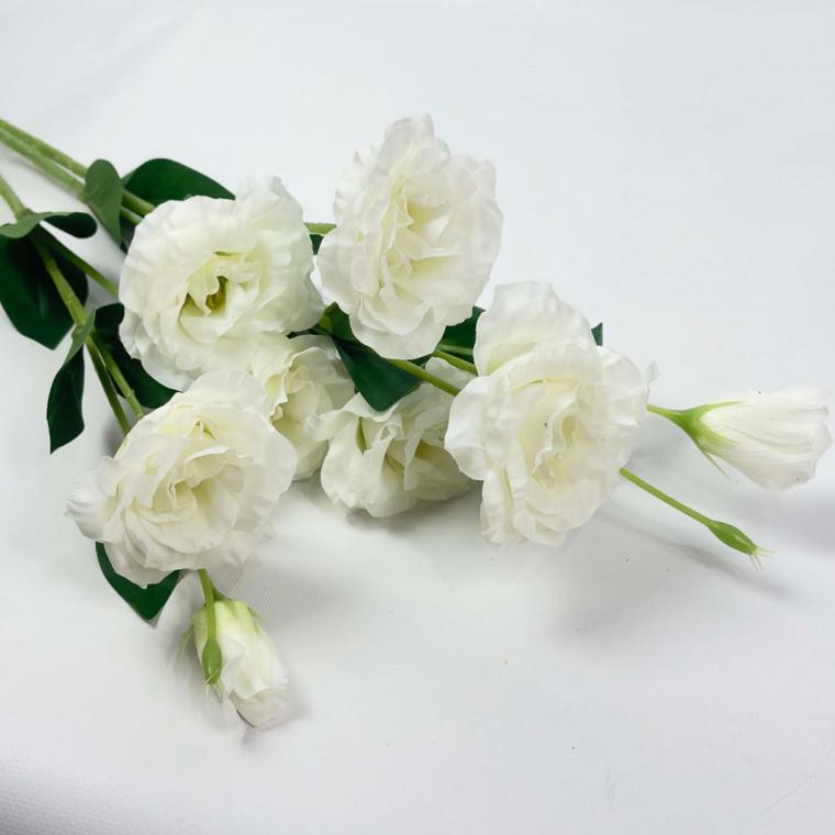 Загружен программно: 1757067783750231.jpg