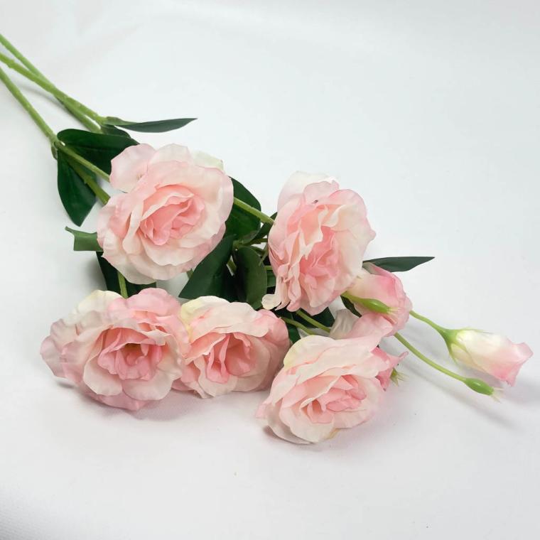 Загружен программно: 1757067832280565.jpg