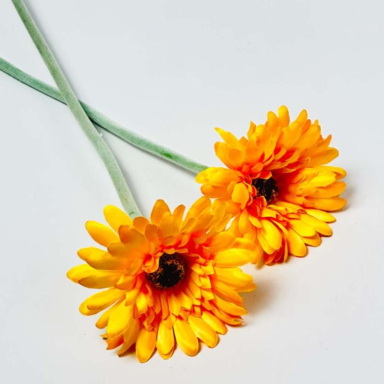 Загружен программно: 1758184638441573.jpg