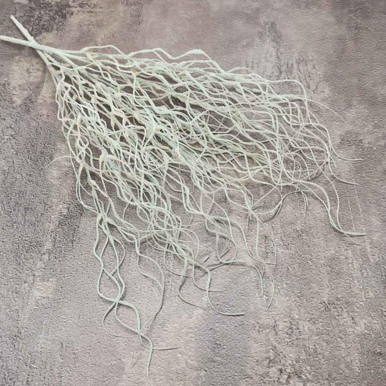 Загружен программно: 1758265102786785.jpg