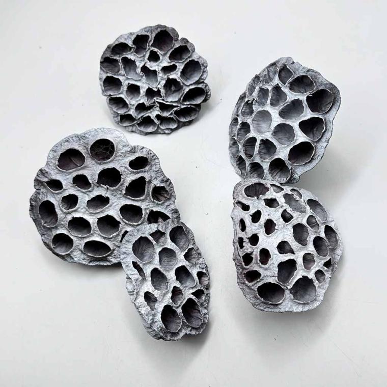 Загружен программно: 1761590203653688.jpg