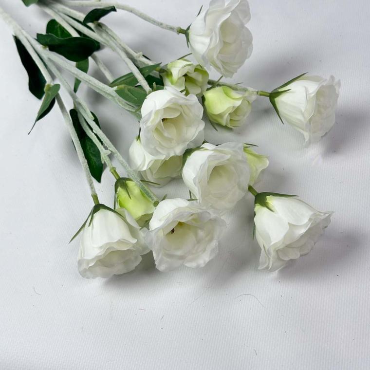 Загружен программно: 1761856693173488.jpg