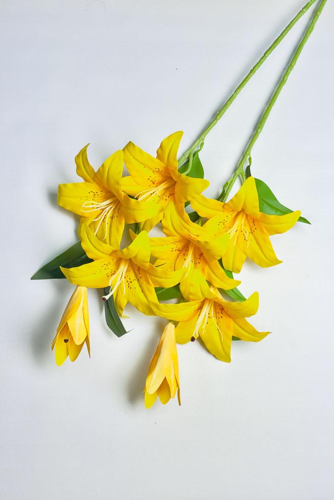 Загружен программно: 1770894032452605_0.jpg