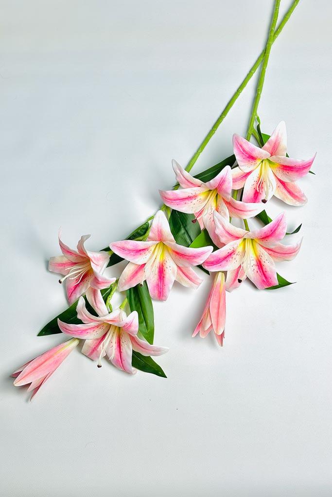 Загружен программно: 1770894033233477_0.jpg