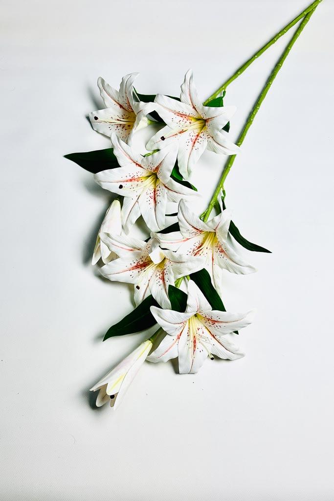 Загружен программно: 1770894033917697_0.jpg