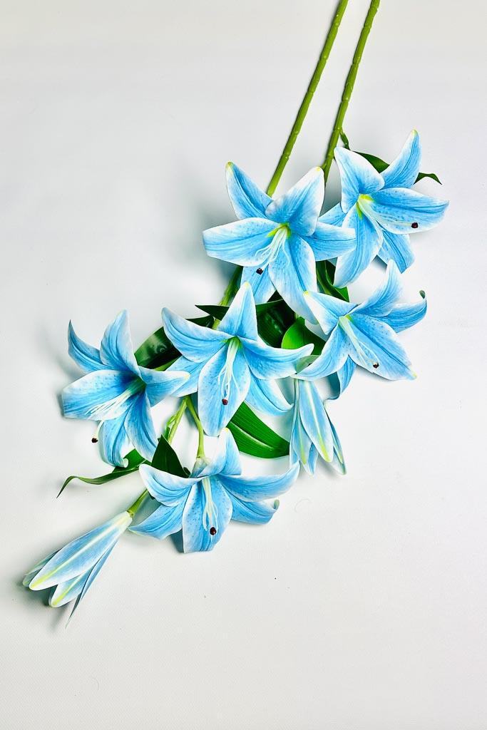 Загружен программно: 1770894034901736_0.jpg