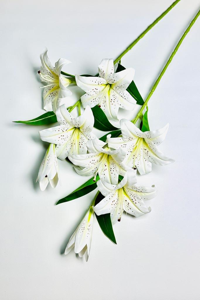 Загружен программно: 1770894035698317_0.jpg