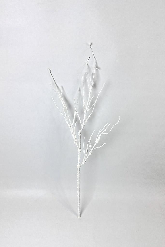 Загружен программно: 1771071819910352.jpg