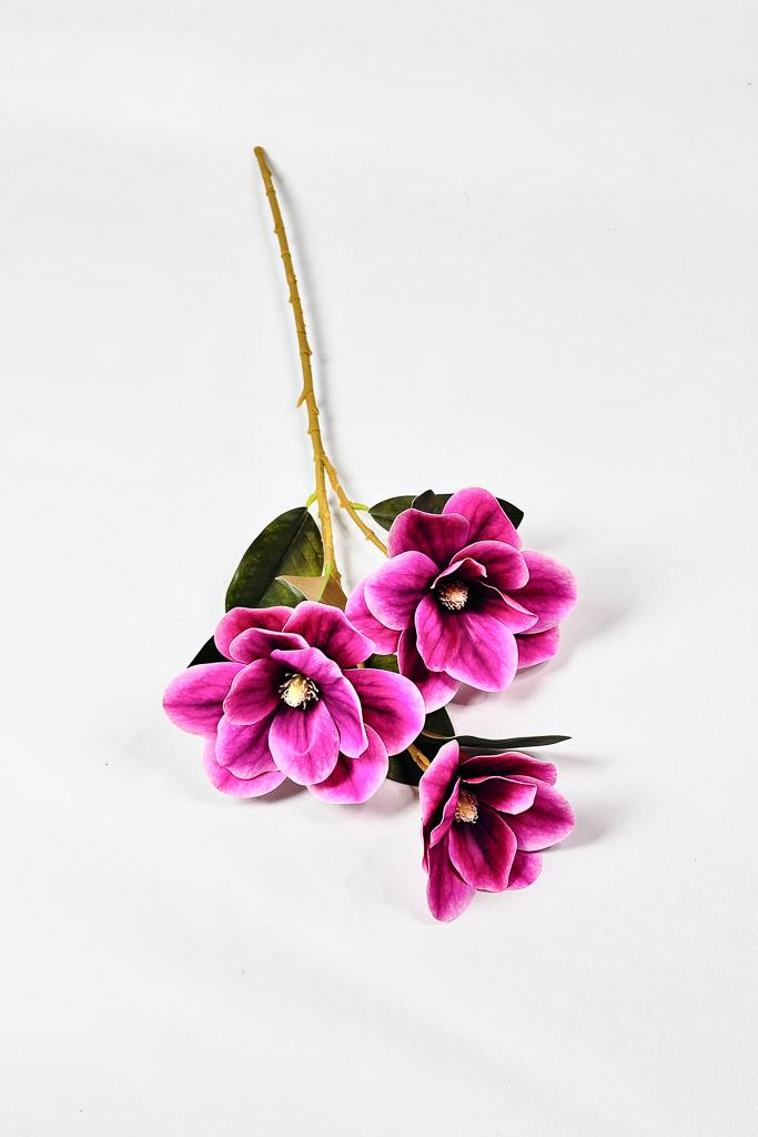 Загружен программно: 1771152552903061.jpg