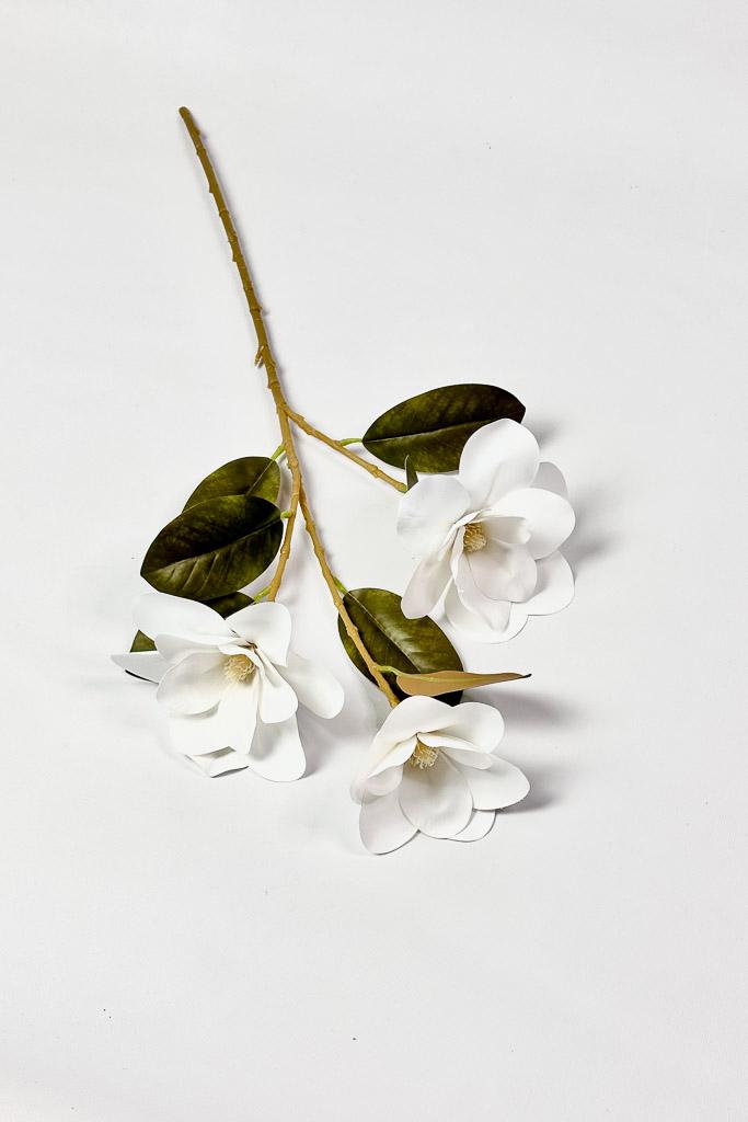 Загружен программно: 1771152563740120.jpg