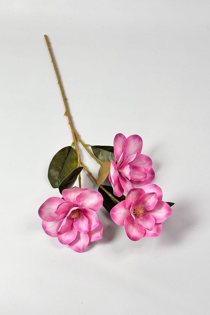 Загружен программно: 1771152572707103.jpg