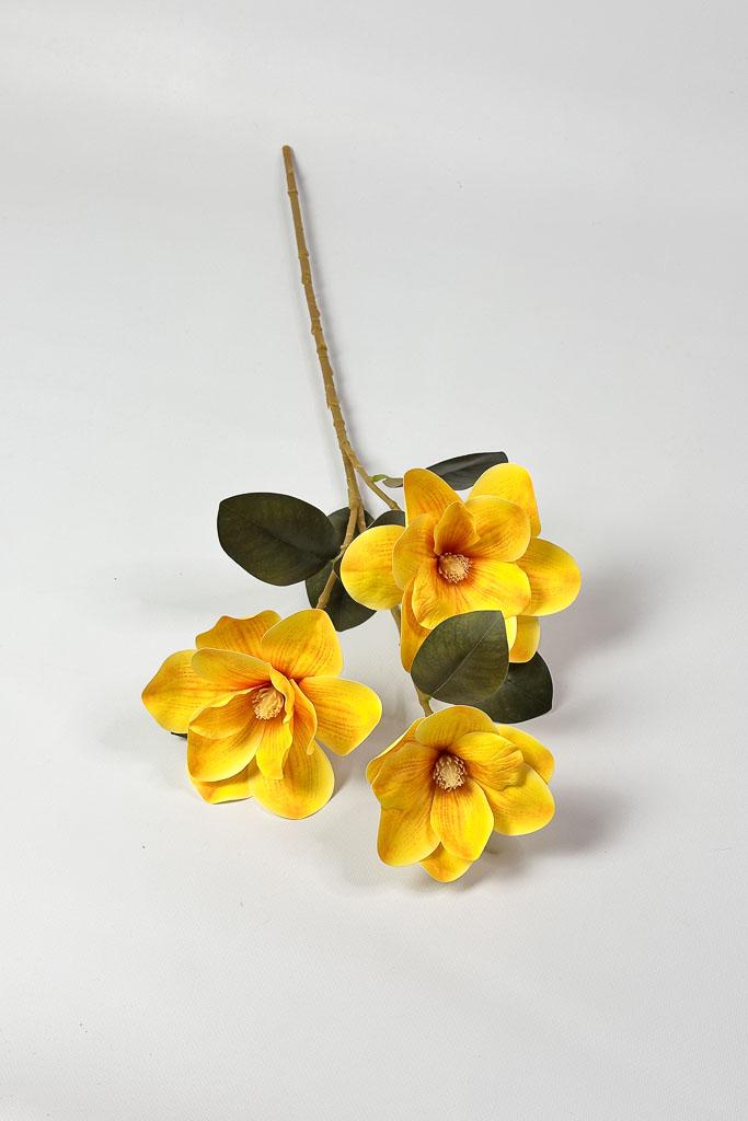 Загружен программно: 1771152593795948.jpg