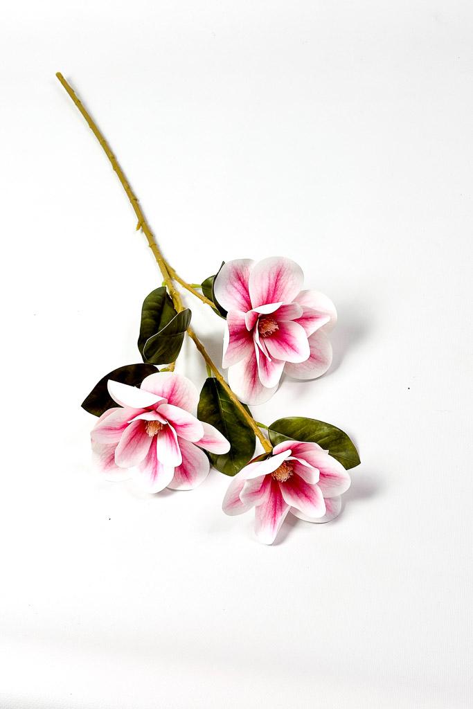 Загружен программно: 1771153124183724.jpg